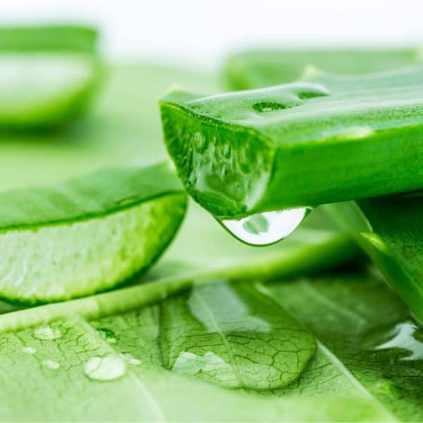 Aloe Vera and tomato juice are effective pimple-fighters when paired together.