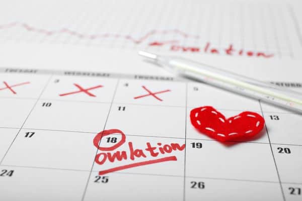 Keeping track of ovulation is an important part of fertility-tracking.