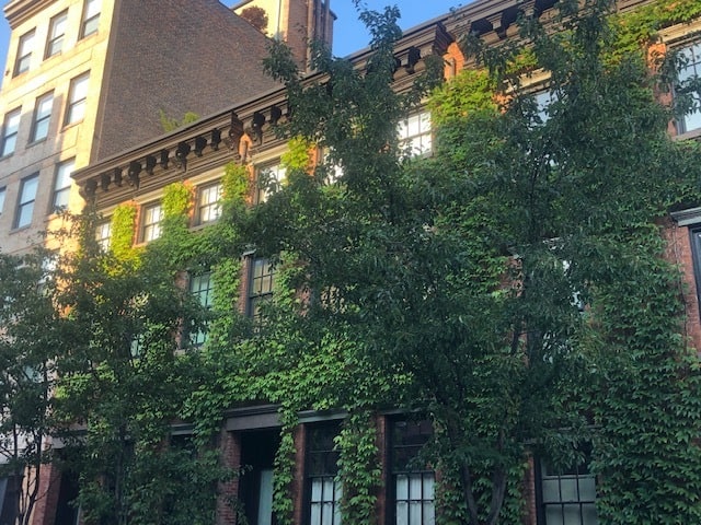 Ivy Building in the West Village