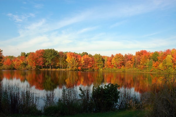 Capturing Those Foliage Photos