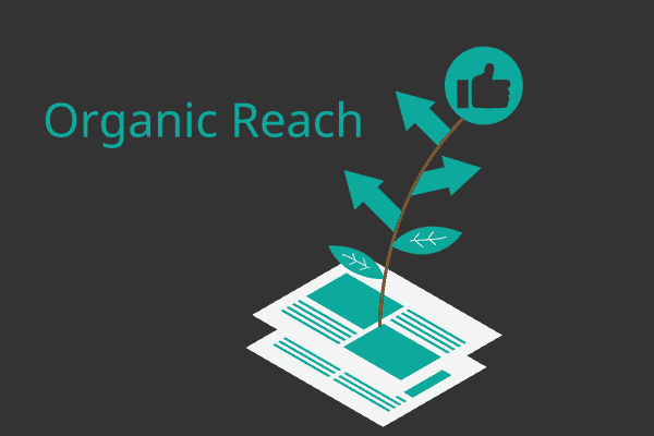 ORganic traffic in Tampa Cragislist