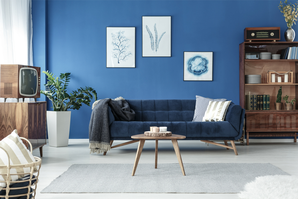 royal blue living room cool designs 