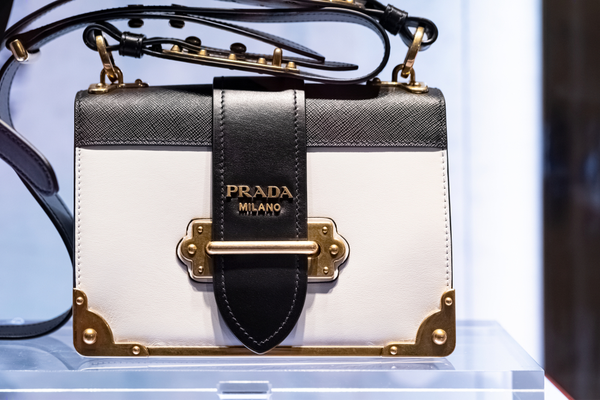 Prada bag from Fall 2019 