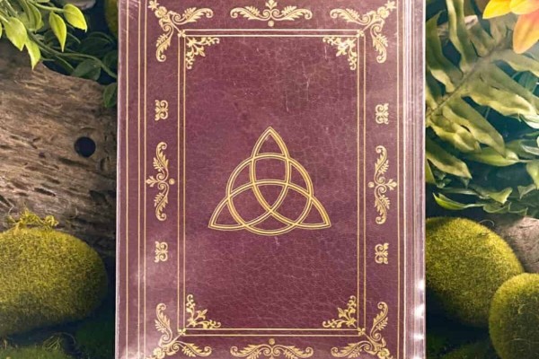 What does Triquetra mean in Wiccan symbols?