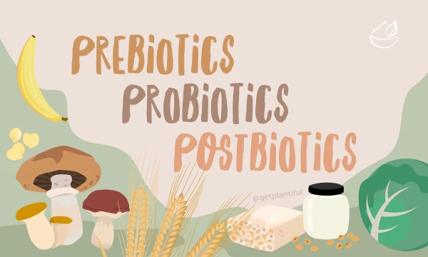 prebiotic probiotics and postbiotics image