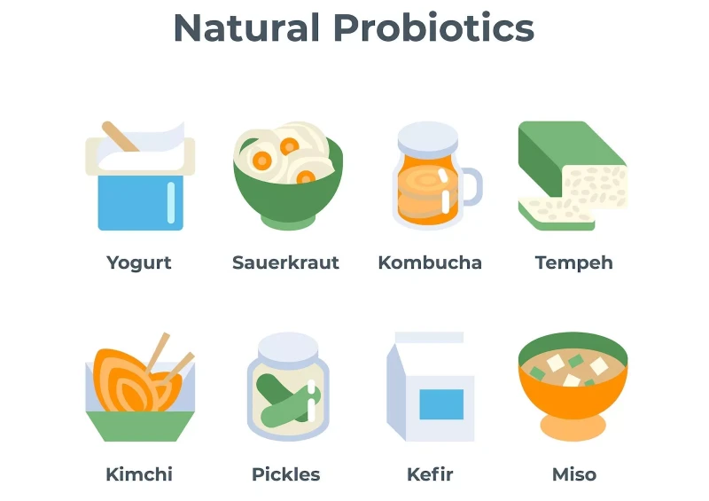 Natural sources of Probiotics 