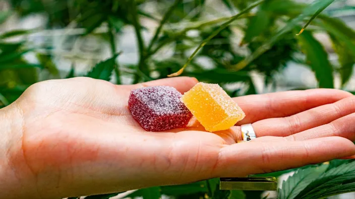 CBG Gummies 